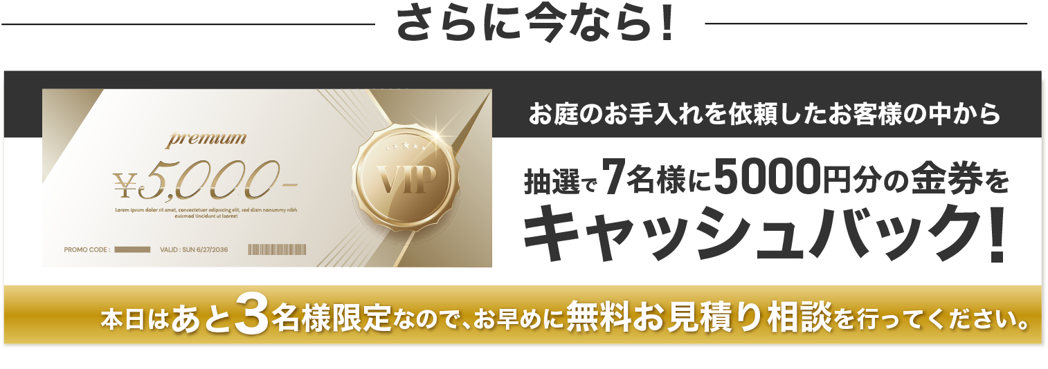 さらに今なら！