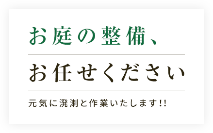 お庭の整備、お任せください元気に溌溂と作業いたします！！