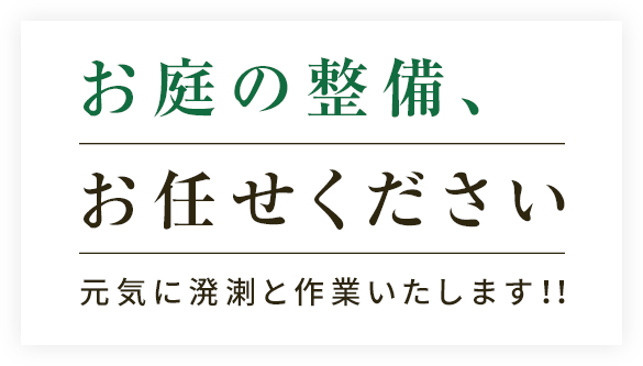 お庭の整備、お任せください元気に溌溂と作業いたします！！